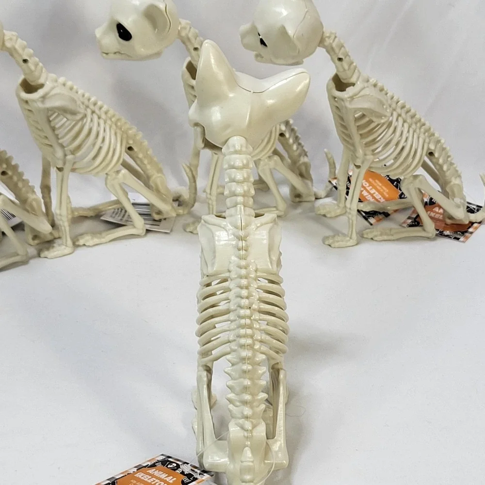 Halloween Kitty Cat Animal Skeleton 7.2